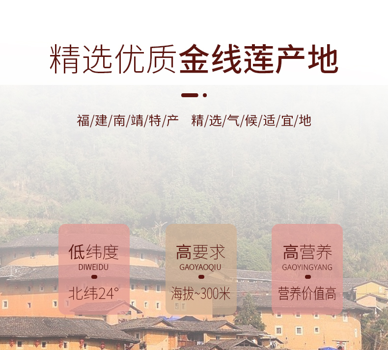 正宗林下<a href=http://www.swinimage.com/ target='_blank'>金線蓮</a>干品