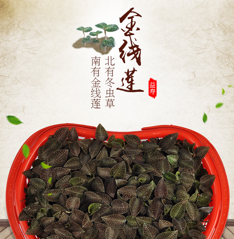 <a href=http://www.swinimage.com/ target='_blank'>金線蓮</a>鮮品 籃裝