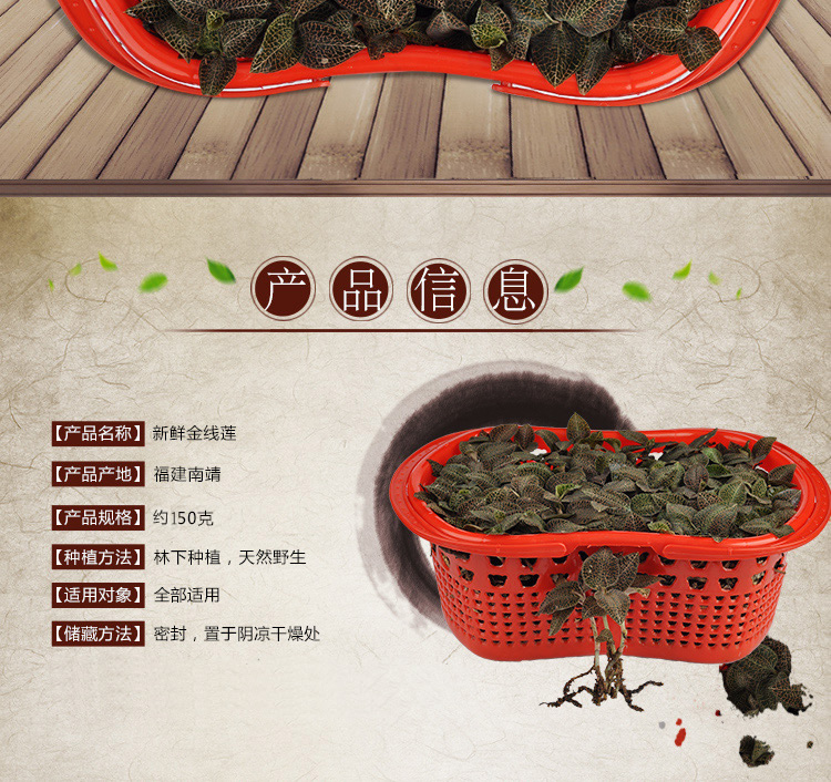 <a href=http://www.swinimage.com/ target='_blank'>金線蓮</a>鮮品 籃裝